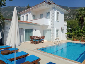 VILLA PALM